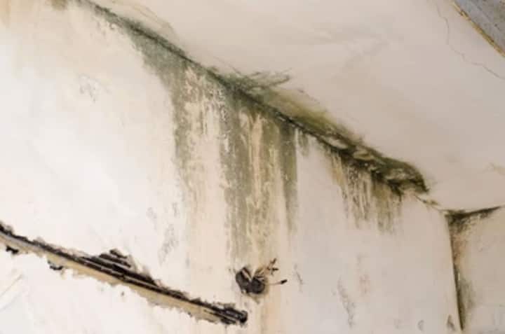 water damage Ann Arbor for rust removal Tree Town Water Damage Restoration 840 S Main St, Ann Arbor, MI 48104 (734) 212-8754
